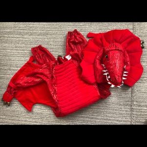Pottery Barn Kids Dragon Halloween Costume sz 4-6